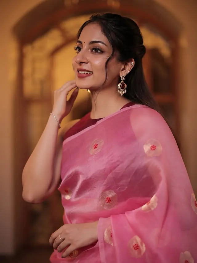 Ishaani Krishna Career