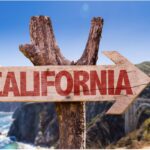 California's Nonprofit Sector Continues